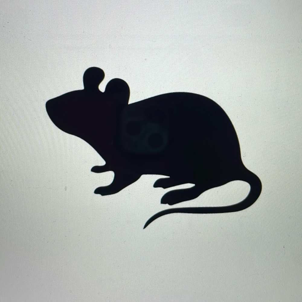 Meet your Posher, Mousie